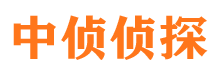 岳池外遇调查取证